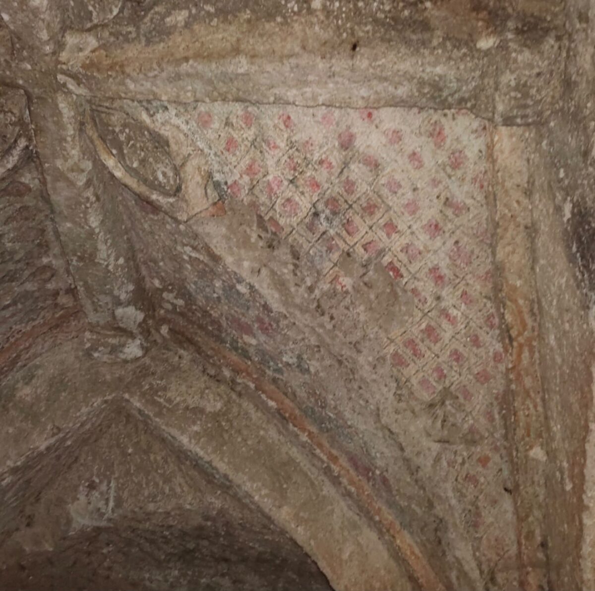 Aspiranti Indiana Jones alla ricerca dell’Eremo di Poggio Conte nella Tuscia viterbese, tra storia e mistero Aspiranti Indiana Jones alla ricerca dell’Eremo di Poggio Conte nella Tuscia viterbese, tra storia e mistero