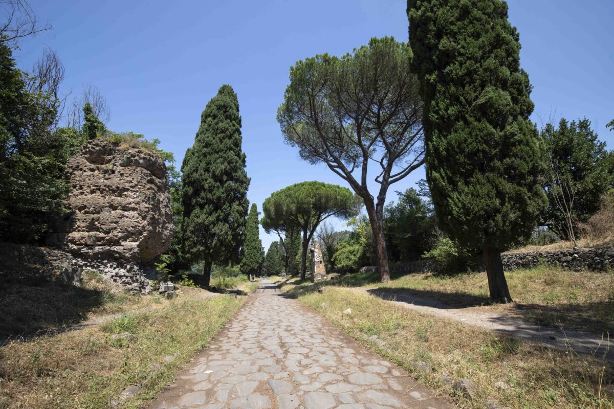 Una corda al collo per gioco? Così un cucciolo di volpe ha rischiato di morire nel Parco dell’Appia Antica Una corda al collo per gioco? Così un cucciolo di volpe ha rischiato di morire nel Parco dell’Appia Antica