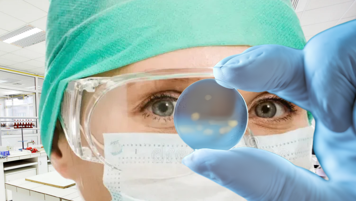 Life Science, il Lazio vale 14 miliardi di export. Ma mancano le competenze Life Science, il Lazio vale 14 miliardi di export. Ma mancano le competenze