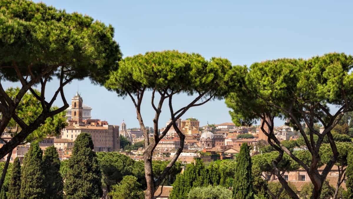 Roma, più alberi tra i monumenti. Azione promuove Gualtieri ma avverte: «Ora serve manutenzione vera» Roma, più alberi tra i monumenti. Azione promuove Gualtieri ma avverte: «Ora serve manutenzione vera»
