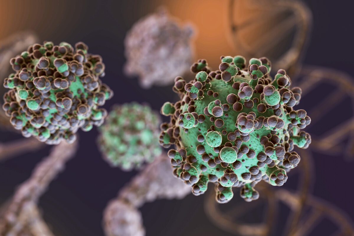 Un algoritmo prova a trovare virus dove noi non li abbiamo ancora cercati: lo studio della Sapienza guarda alle prossime zoonosi Un algoritmo prova a trovare virus dove noi non li abbiamo ancora cercati: lo studio della Sapienza guarda alle prossime zoonosi