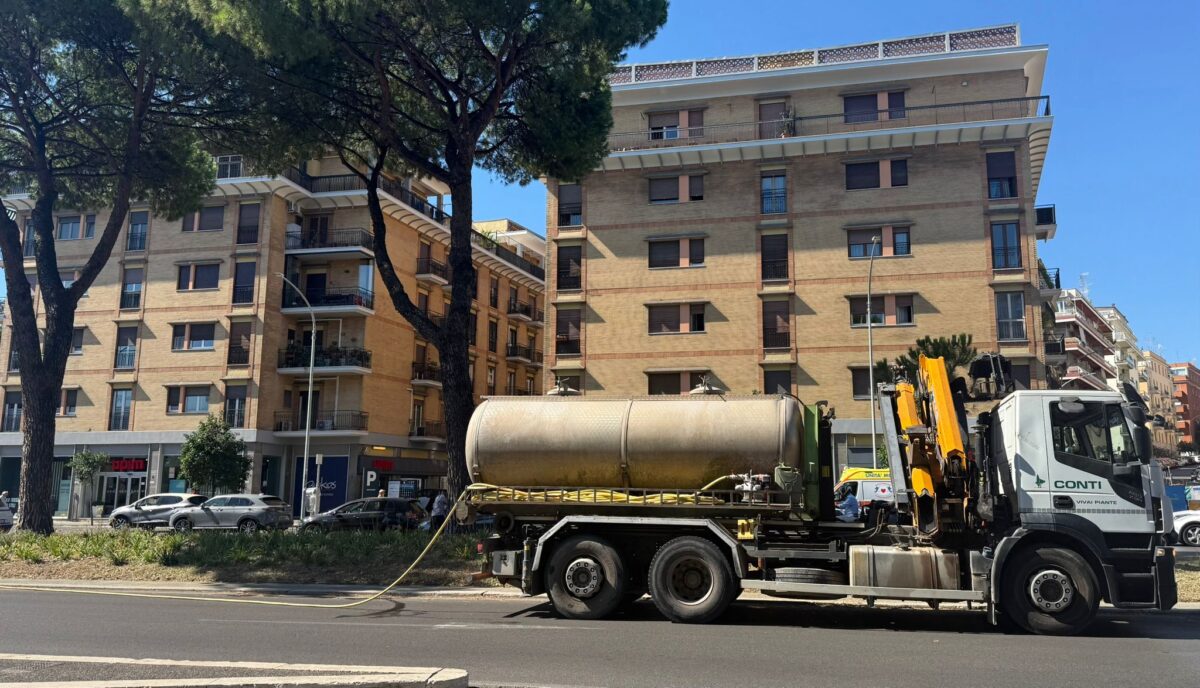 Muore di sete la Passeggiata del Gelsomino: piante secche a due passi da San Pietro