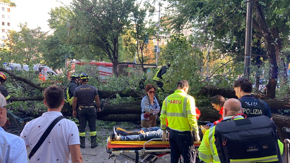 Milano, un albero crolla all’improvviso in piazza Risorgimento e si abbatte su tre passanti: uno è grave Milano, un albero crolla all’improvviso in piazza Risorgimento e si abbatte su tre passanti: uno è grave