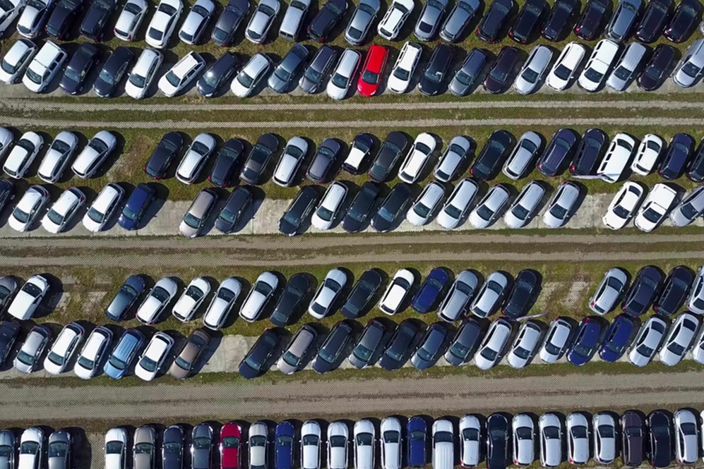 Codice della Strada, il 43% delle multe riguarda conducenti esteri Codice della Strada, il 43% delle multe riguarda conducenti esteri