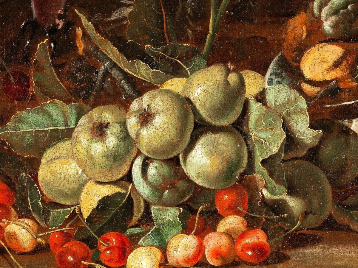 Con o senza pollice verde, tutti all’Orto Botanico per la mostra dedicata al giardinaggio