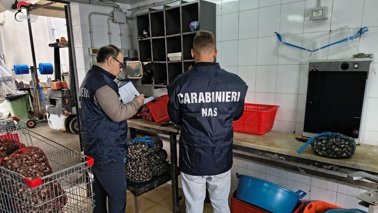 Palermo, controlli a tappeto dei Nas: chiuse tre pescherie e sanzioni per oltre 30mila euro Palermo, controlli a tappeto dei Nas: chiuse tre pescherie e sanzioni per oltre 30mila euro