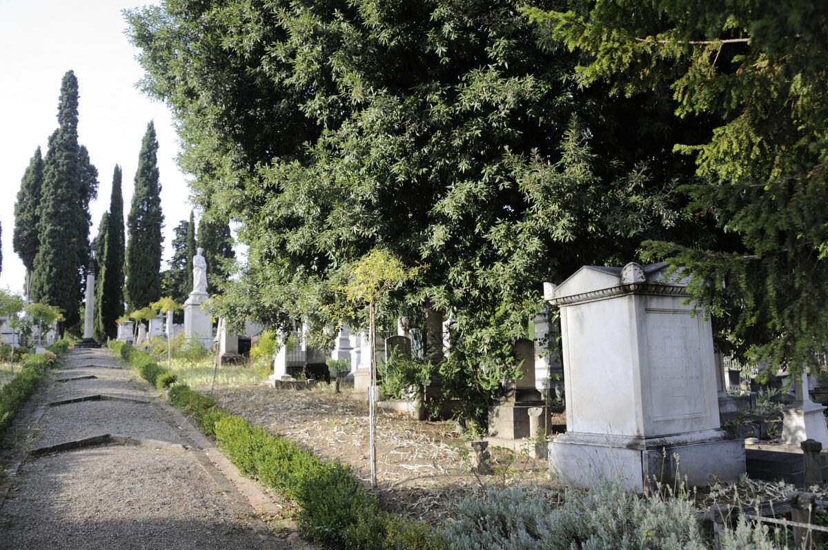 Bergamo, si vendica di un torto dopo 60 anni e danneggia tre volte la lapide dell’ex sindaco: denunciata una novantenne Bergamo, si vendica di un torto dopo 60 anni e danneggia tre volte la lapide dell’ex sindaco: denunciata una novantenne