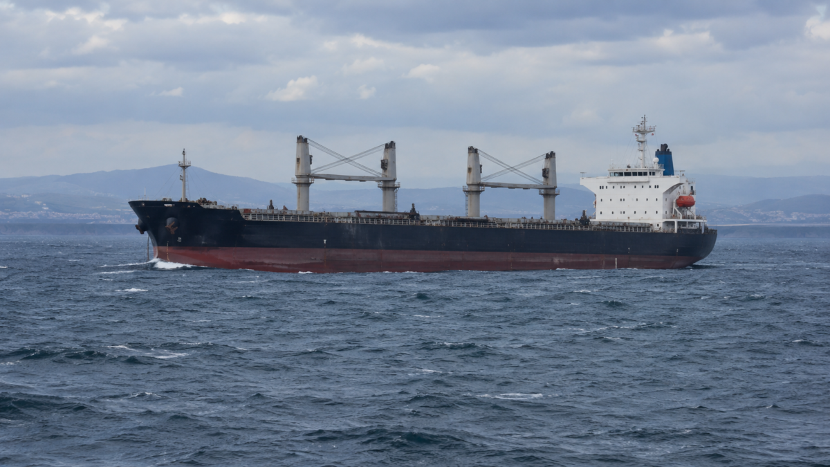 Bulgaria, droni su due navi nel Mar Nero: una è affondata, disperso l’equipaggio Bulgaria, droni su due navi nel Mar Nero: una è affondata, disperso l’equipaggio