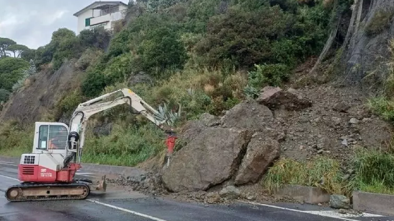 Jesolo, albero crolla su un’auto per il maltempo: muore un militare di 46 anni Jesolo, albero crolla su un’auto per il maltempo: muore un militare di 46 anni