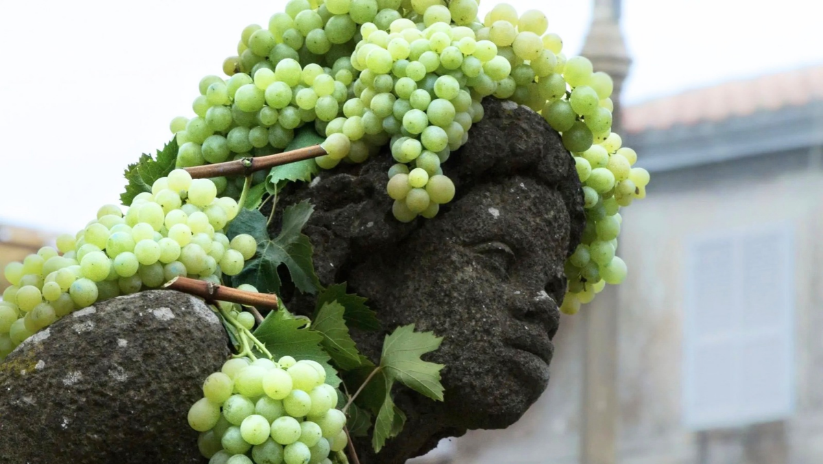Sagra dell’Uva di Marino, il vino scorre e arrivano 21 treni speciali: quasi 10mila posti in più Sagra dell’Uva di Marino, il vino scorre e arrivano 21 treni speciali: quasi 10mila posti in più
