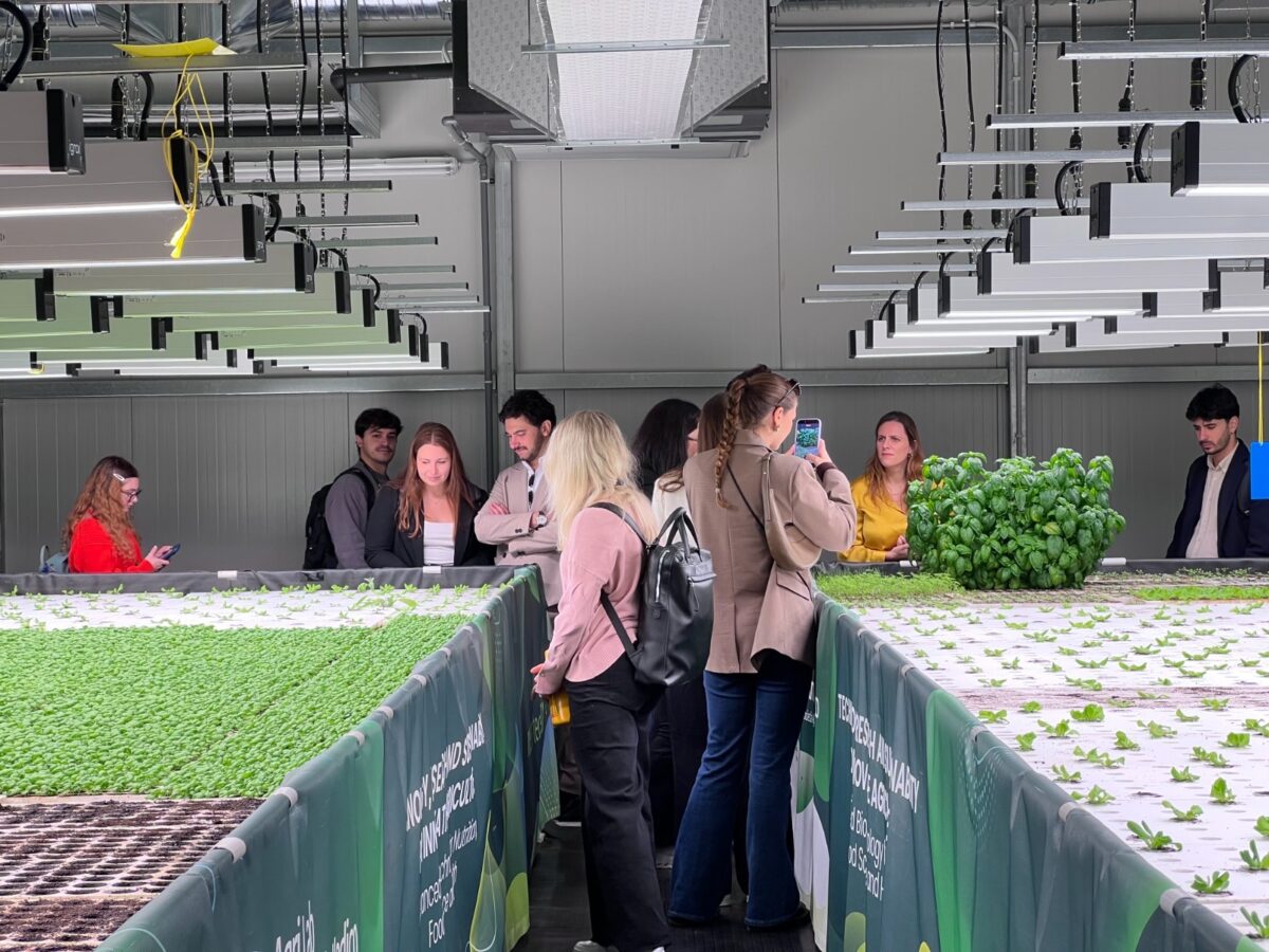 Agricoltura e innovazione: V.I.T.A. accelera la trasformazione del settore con Campus Bio-MedicoeMercedes-Benz Italia Agricoltura e innovazione: V.I.T.A. accelera la trasformazione del settore con Campus Bio-MedicoeMercedes-Benz Italia