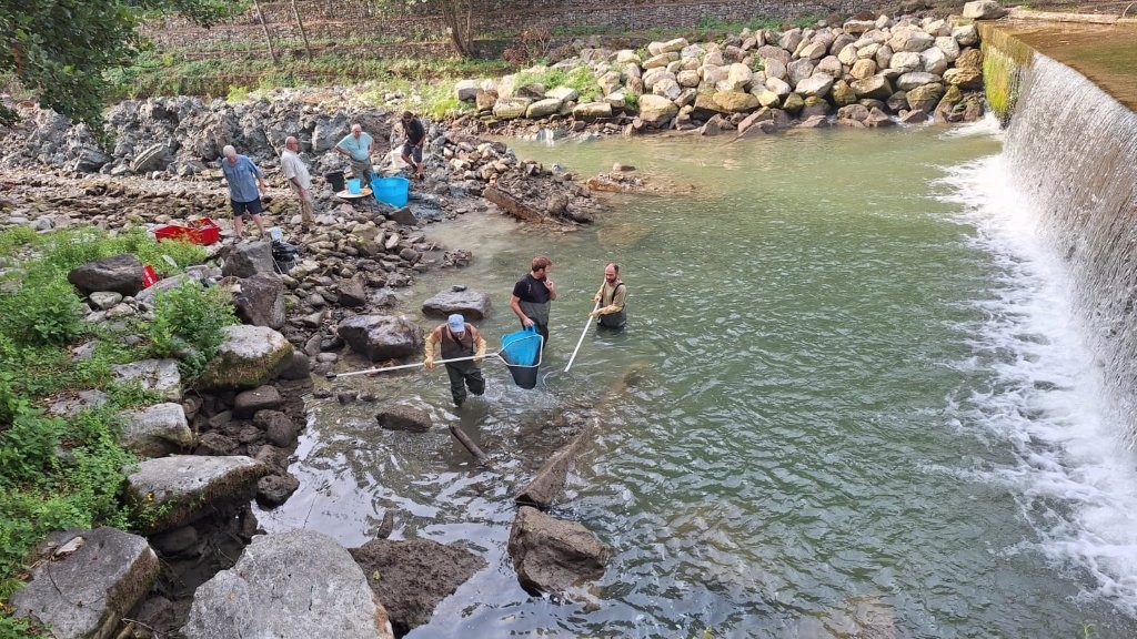 ANBI, scongiurato il rischio idrogeologico a Sansepolcro: messo in sicurezza il Tevere e tutelata la biodiversità ANBI, scongiurato il rischio idrogeologico a Sansepolcro: messo in sicurezza il Tevere e tutelata la biodiversità