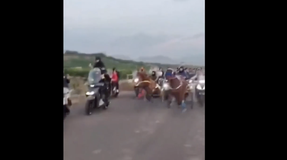 Catania, corsa clandestina di cavalli in strada: moto al seguito e uomini armati – VIDEO Catania, corsa clandestina di cavalli in strada: moto al seguito e uomini armati – VIDEO