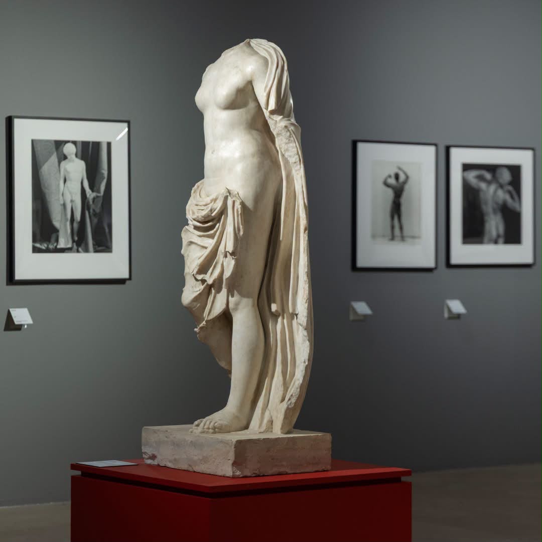 Perché aspettare la prima domenica del mese se i musei di Roma sono gratis tutto l’anno? Passate parola Perché aspettare la prima domenica del mese se i musei di Roma sono gratis tutto l’anno? Passate parola